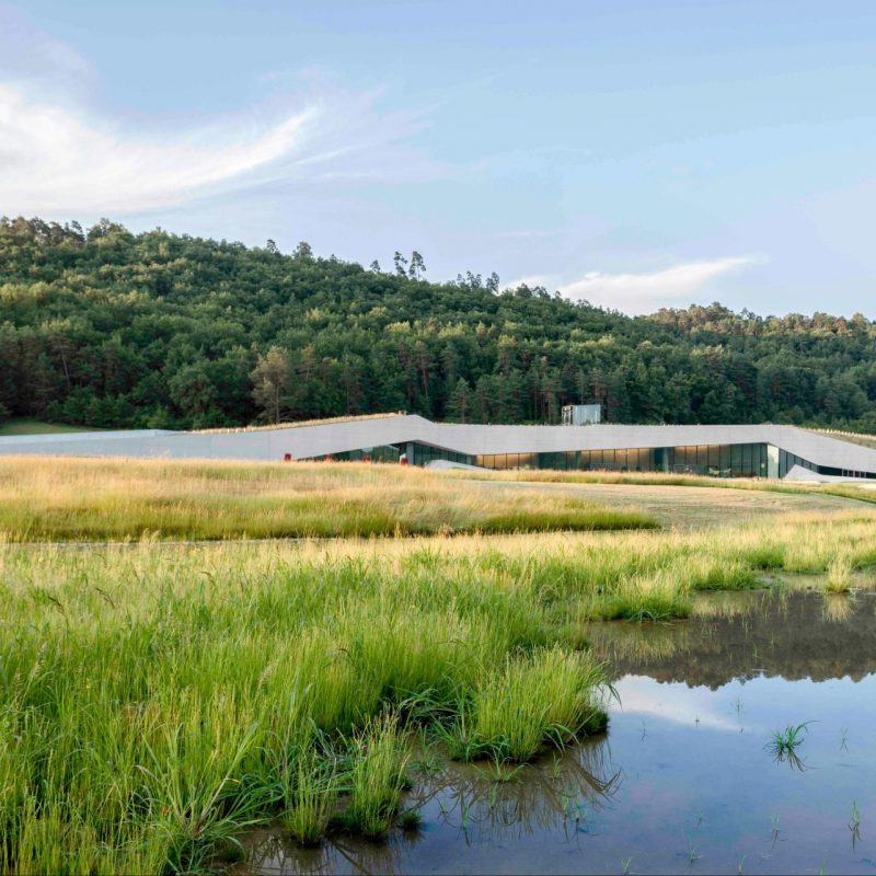 拉斯科四號，國際洞窟藝術中心